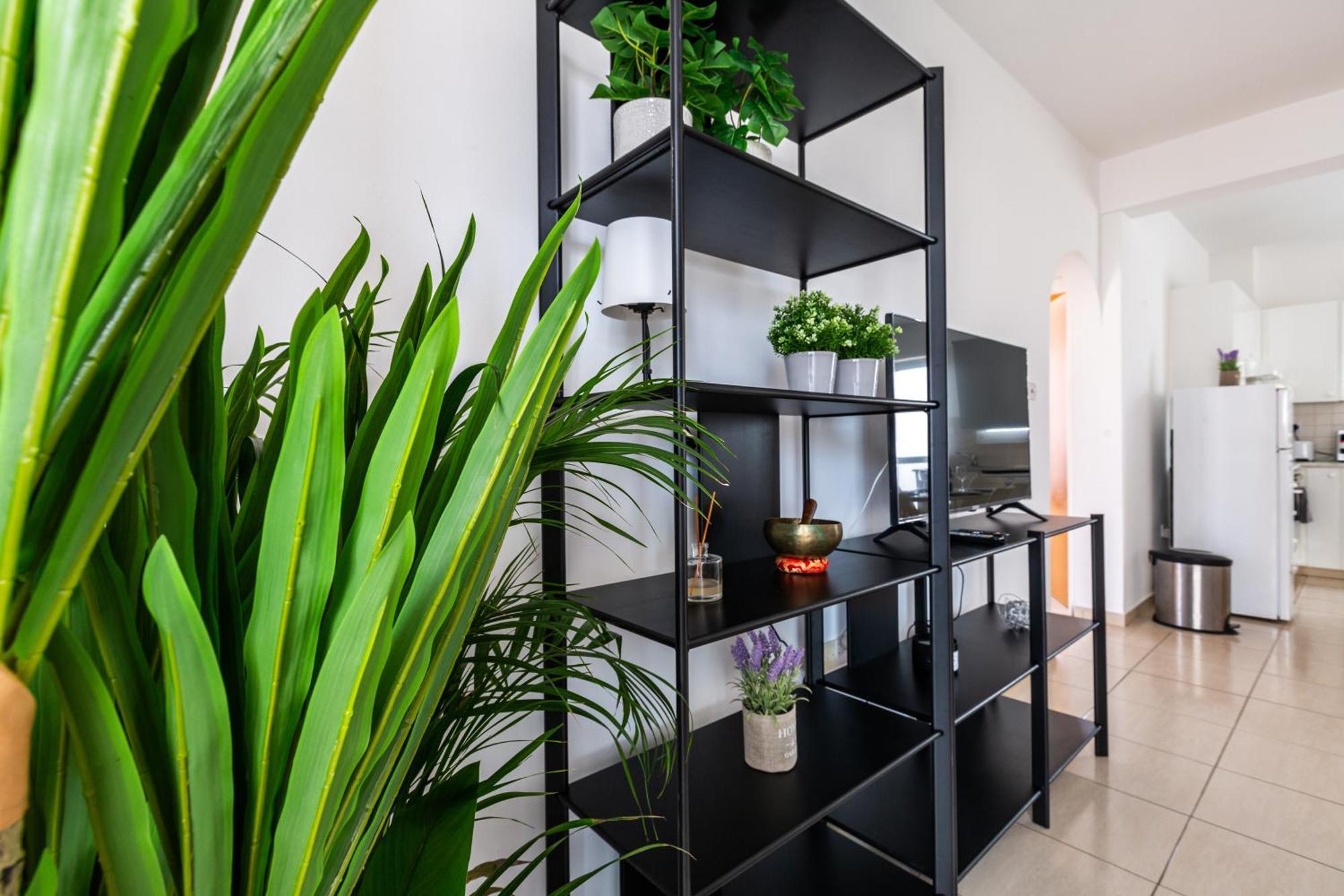 Beautiful 2 Bed Apartment In Paphos Cyprus ภายนอก รูปภาพ